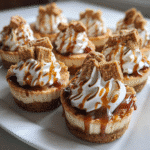 Mini Biscoff Cheesecakes
