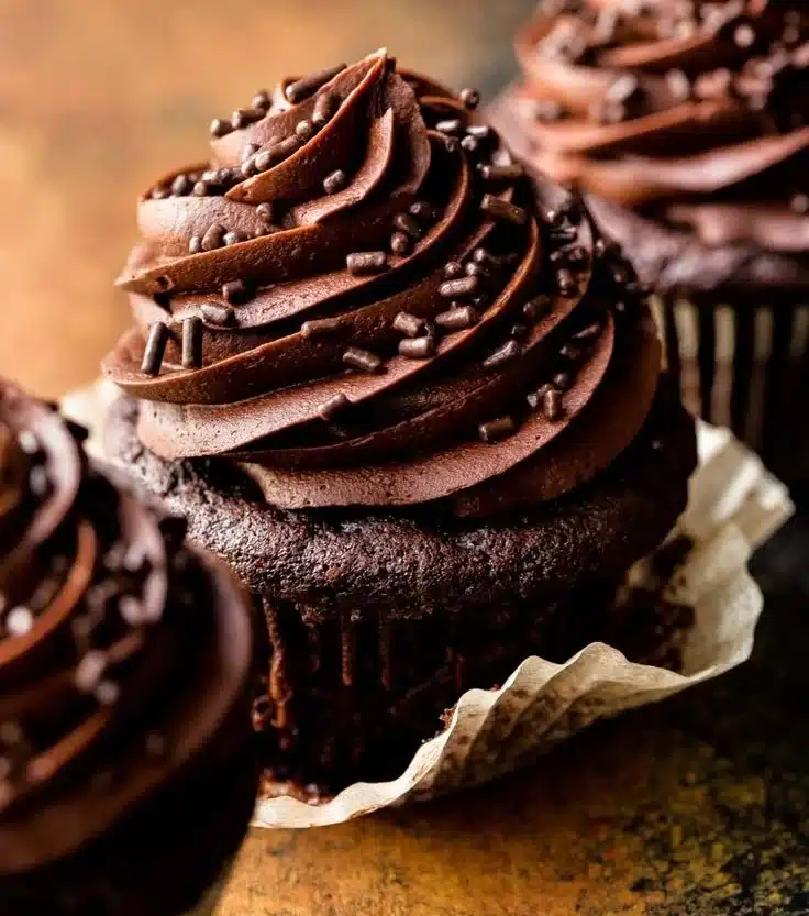 Delicious chocolate cupcakes topped with creamy frosting