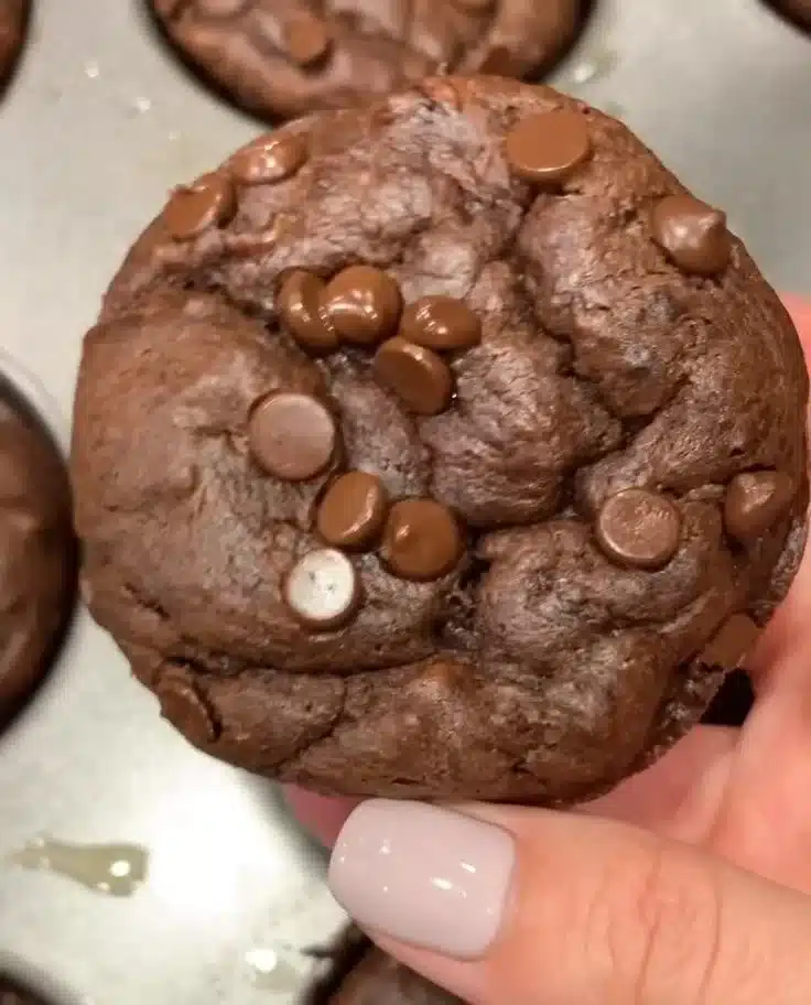 Flourless chocolate muffins topped with chocolate chips and served on a plate.
