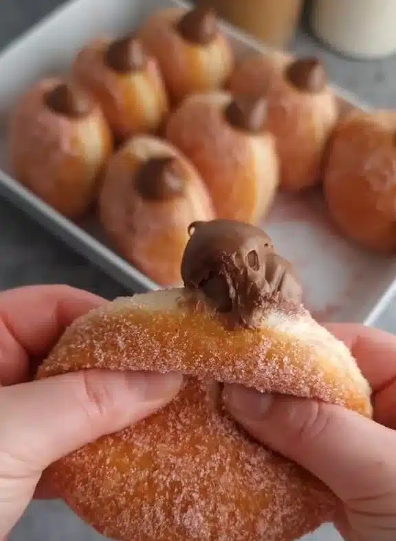 Freshly made hazelnut cream beignets dusted with powdered sugar