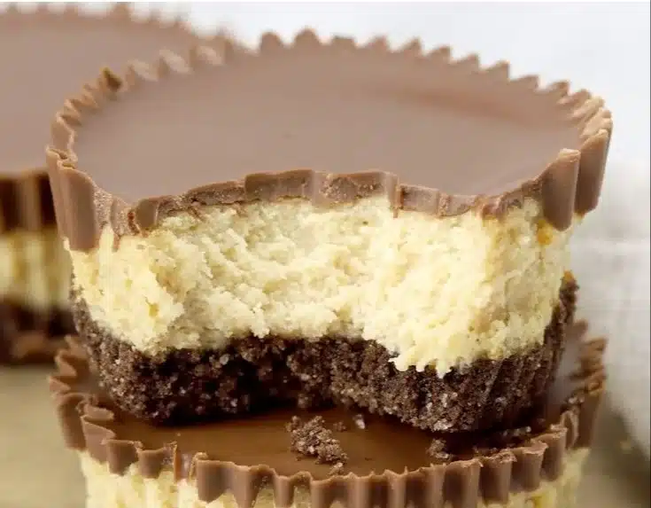 Mini Peanut Butter Cup Cheesecakes