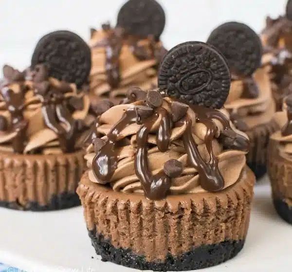 Mini triple chocolate cheesecakes topped with chocolate ganache and cocoa powder