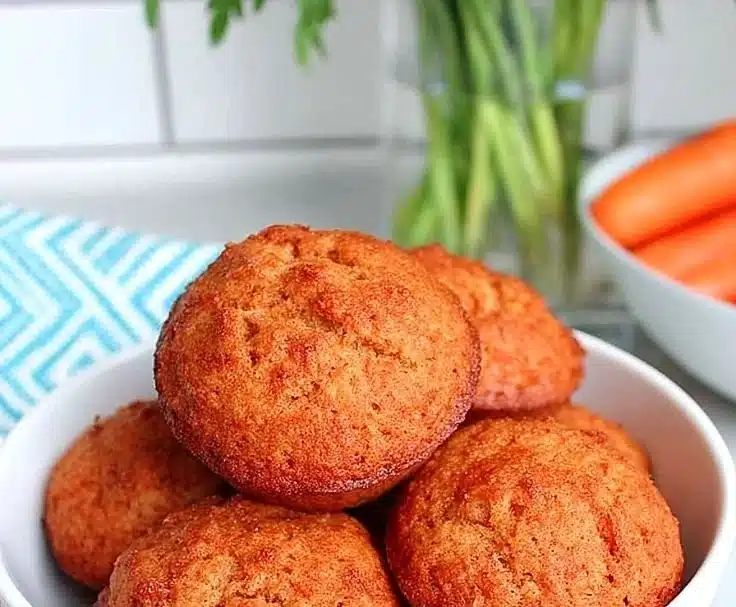 Oat Apple Muffins for Babies