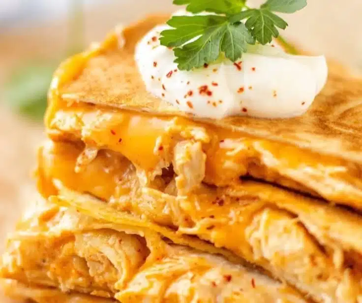 Taco Bell Chicken Quesadilla