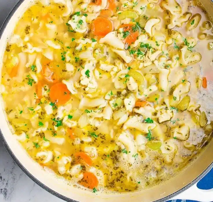 Bowl of homemade Vegan Chicken Noodle Soup with vegetables and noodles