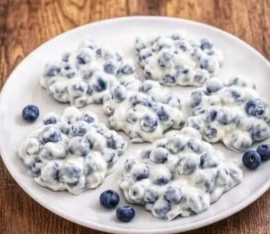 Blueberry Yogurt Bark