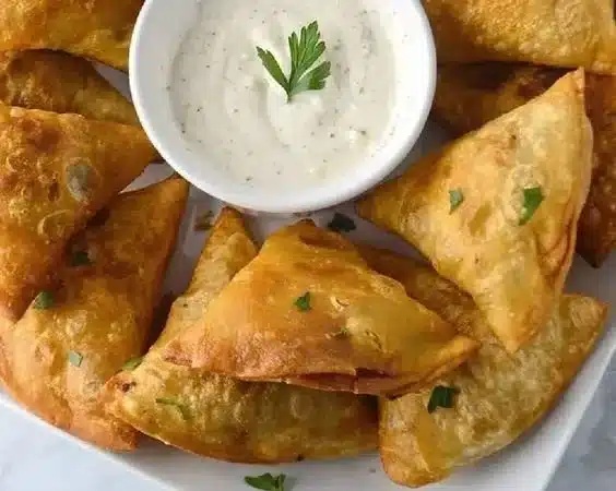 Middle Eastern Sambusa