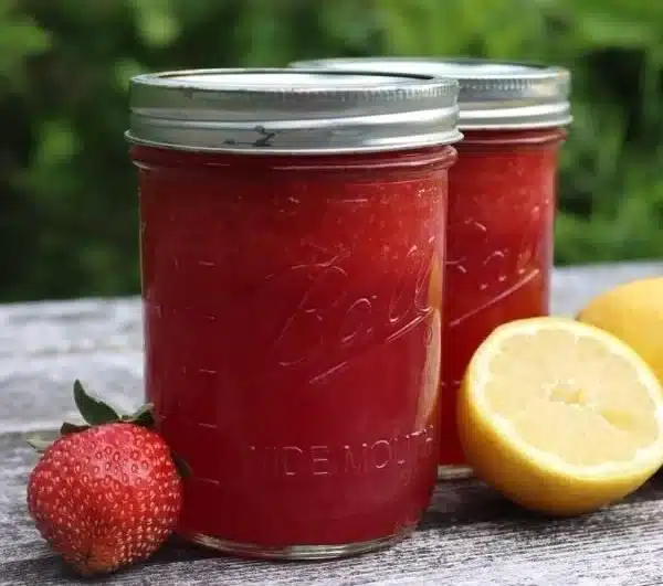 Strawberry Lemonade Concentrate