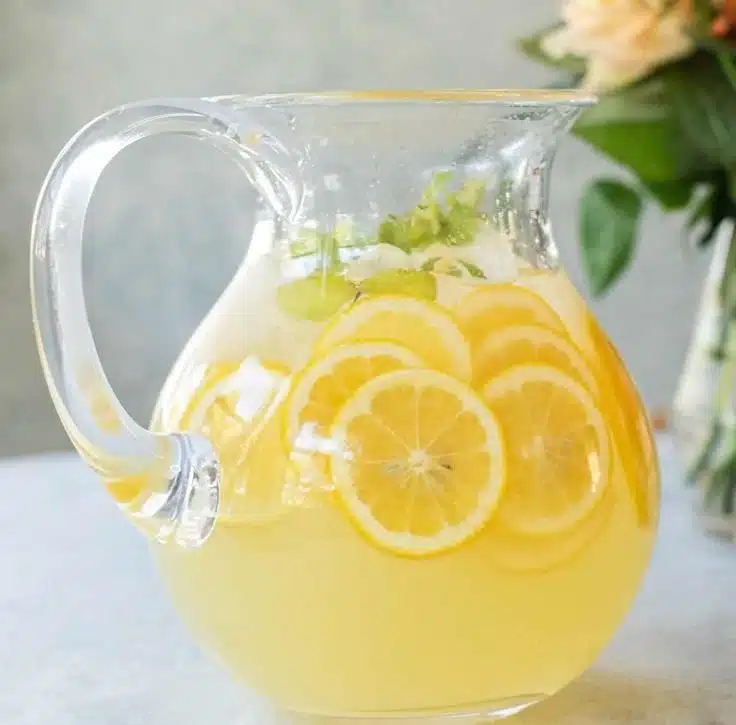 Refreshing glass of mint lemonade with fresh mint leaves